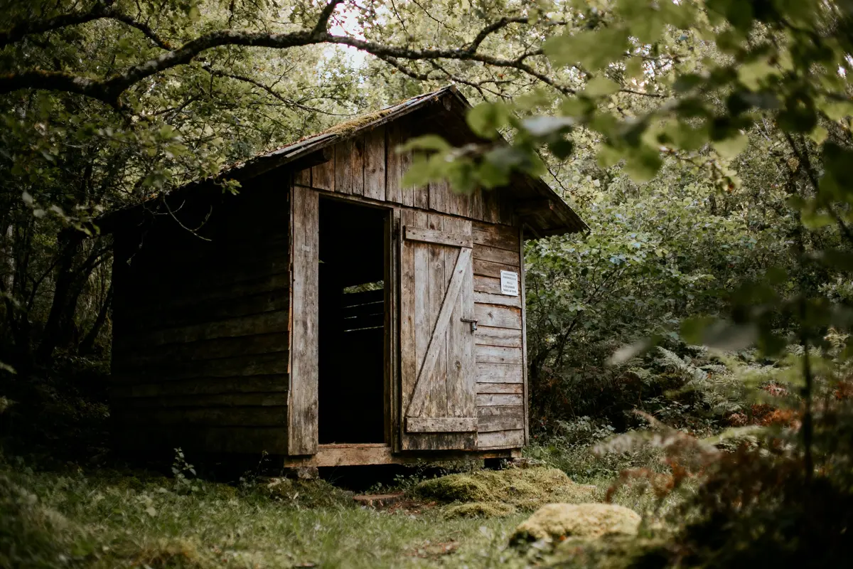 pexels-michal-pech-213601-757318 (1) Cabane en bois rustique au milieu d'une forêt verdoyante, entourée d'arbres et de mousses.