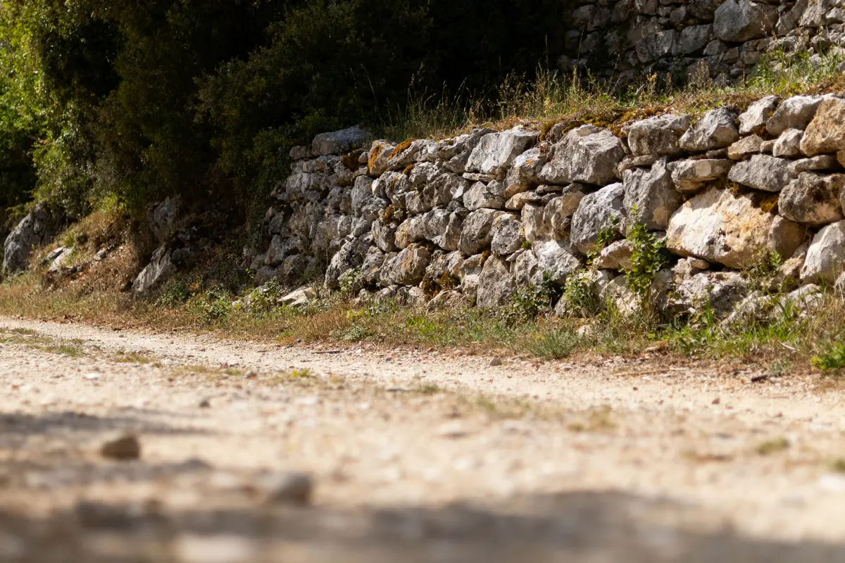 pexels-michal-pech-213601-757318 (1) Chemin de terre bordé par un mur de pierres sèches et végétation, sous un éclairage naturel.