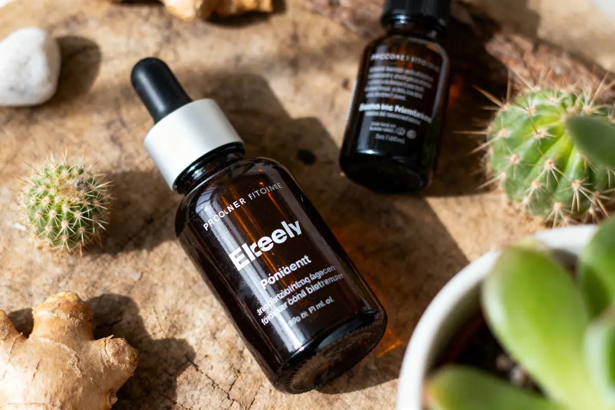 pexels-michal-pech-213601-757318 (1) Deux flacons de parfum sur bois avec cactus, gingembre, ambiance naturelle et lumineuse.